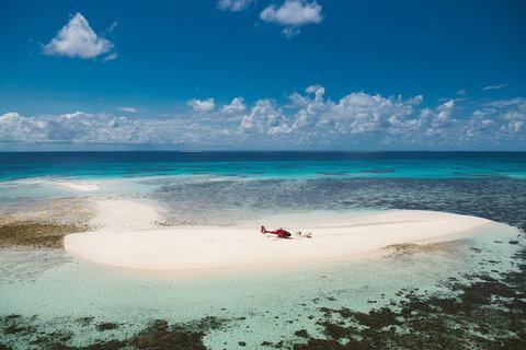 Private Helicopter Tour: Reef Island Snorkeling And Gourmet Picnic Lunch - C Tourism 4