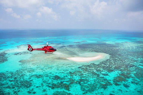Private Helicopter Tour: Reef Island Snorkeling And Gourmet Picnic Lunch - C Tourism 5
