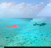 Port Douglas Scenic Flights - C Tourism