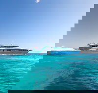 Fremantle to Rottnest Island Roundtrip Ferry Ticket - C Tourism