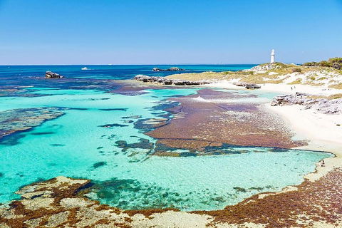 Perth To Rottnest Island Roundtrip Ferry Ticket - C Tourism 2