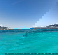 Rottnest Island Bayseeker Day Trip from Perth - C Tourism