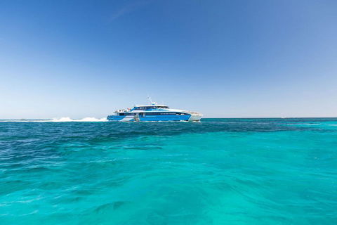 Rottnest Island Bayseeker Day Trip From Perth - C Tourism 0