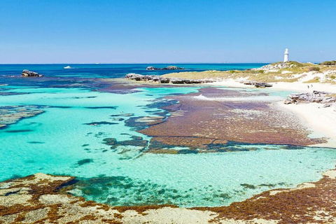 Rottnest Island Bayseeker Day Trip From Perth - C Tourism 4