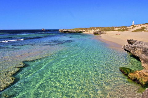 Rottnest Island Bayseeker Day Trip From Perth - C Tourism 5