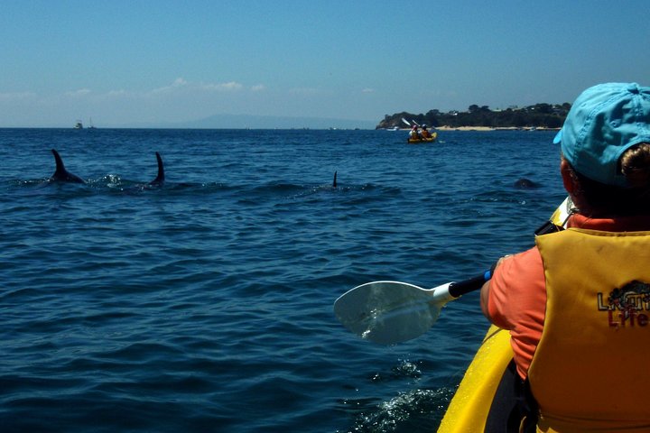  C Tourism