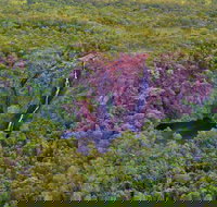 Litchfield Park  Daly River - Scenic Flight From Darwin - C Tourism