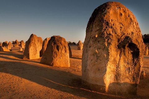 Wave Rock And Pinnacles Air & Ground Tour - C Tourism 1