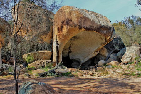 Wave Rock And Pinnacles Air & Ground Tour - C Tourism 3