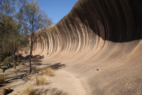 Wave Rock And Pinnacles Air & Ground Tour - C Tourism 5