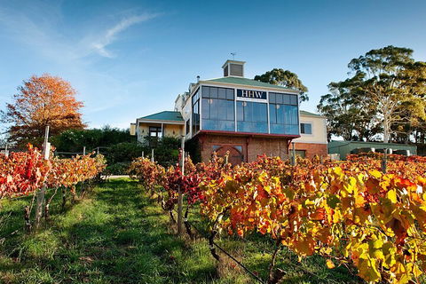 Adelaide Hills Food, Wine, Cheese, & Chocolate - Private Day Tour - C Tourism 3