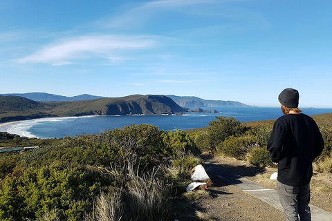 4-Day Fabulous Tasmania Tour: Wineglass Bay, Port Arthur, Devils & Bruny Island - C Tourism 0