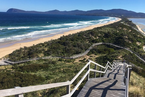4-Day Fabulous Tasmania Tour: Wineglass Bay, Port Arthur, Devils & Bruny Island - C Tourism 5