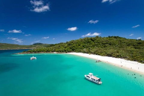 Whitehaven Beach And Hill Inlet | Awesome Beach BBQ | Family Friendly - C Tourism 3