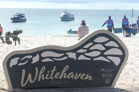 Whitehaven Beach And Hill Inlet | Awesome Beach BBQ | Family Friendly - C Tourism 5