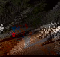 Alice Springs Desert Park Nocturnal Tour - C Tourism