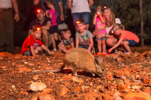 Alice Springs Desert Park Nocturnal Tour - C Tourism 1
