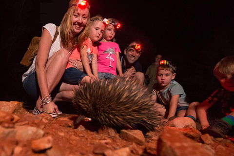 Alice Springs Desert Park Nocturnal Tour - C Tourism 5