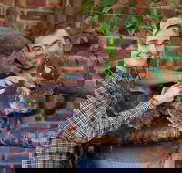 Private Tour Blue Mountains Day Trip from Sydney - C Tourism