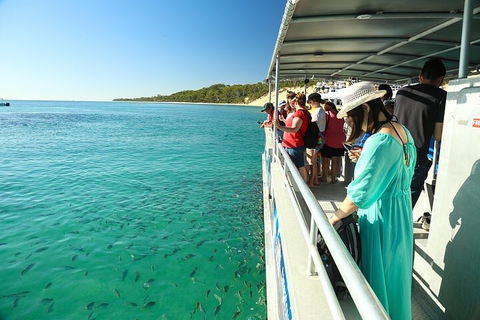 Adventure Moreton Island Wrecks Adventure Package - C Tourism 1