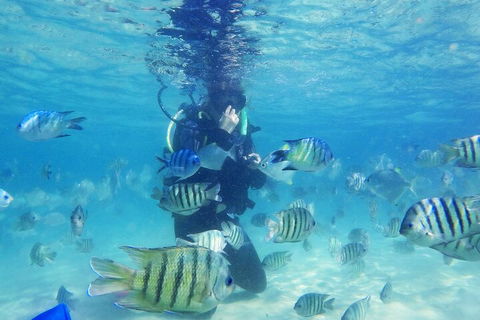 Adventure Moreton Island Scuba Dive Tour - C Tourism 1