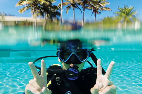 Adventure Moreton Island Scuba Dive Tour - C Tourism 2