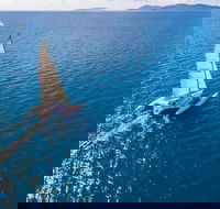 2-Night Whitsunday Islands Sailing Adventure on Trimaran Avatar - C Tourism