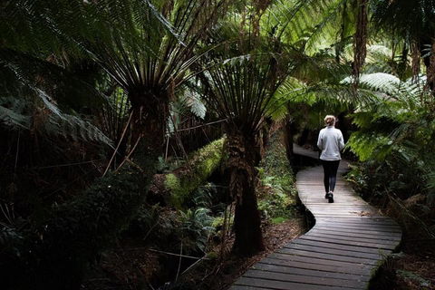 Private Tour Of Melbourne - C Tourism 2
