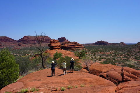 Palm Valley And Hermannsburg 1 Day 4WD Tour - C Tourism 2
