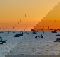 Darwin Hop-on Hop-off Bus Tour - C Tourism