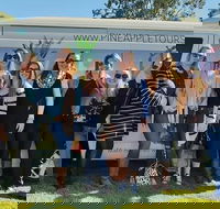Full Day Mount Tamborine Winery Tour from Gold Coast - C Tourism