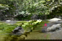 Daintree Dreaming Traditional Aboriginal Fishing from Cairns or Port Douglas