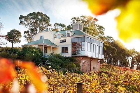 Adelaide Hills Regional / Hahndorf German Village Tour - C Tourism 3