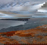 Kangaroo Island Luxury Small Group 'Flinders Chase Focus' Full Day Tour - C Tourism