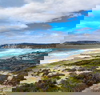 Kangaroo Island Luxury Small Group 'East End Explorer' Full Day Tour - C Tourism