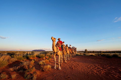 Uluru Small-Group Tour By Camel At Sunrise Or Sunset - C Tourism 3