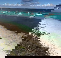 Experience Rottnest with Ferry  Bike Hire from Perth or Fremantle - C Tourism