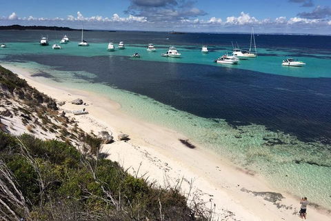 Experience Rottnest With Ferry & Bike Hire From Perth Or Fremantle - C Tourism 0
