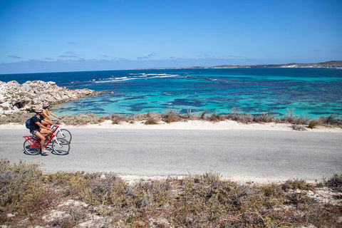 Experience Rottnest With Ferry & Bike Hire From Perth Or Fremantle - C Tourism 2