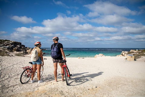 Experience Rottnest With Ferry & Bike Hire From Perth Or Fremantle - C Tourism 5