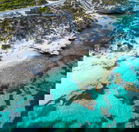 Rottnest Island Round-Trip Ferry from Perth or Fremantle - C Tourism