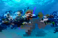 Great Barrier Reef Diving and Snorkeling Cruise from Cairns