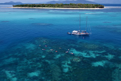 Ocean Free Green Island & Great Barrier Reef Snorkel Cruise, Cairns 25 Guests - C Tourism 2