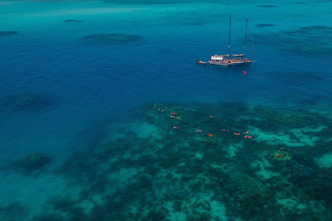 Ocean Free Green Island & Great Barrier Reef Snorkel Cruise, Cairns 25 Guests - C Tourism 5