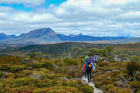 6 Day Trek The Cradle Mountain Overland Track - C Tourism 5