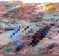 6 Day Red Centre Explorer with Accommodation - C Tourism