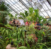 Australian Butterfly Sanctuary - C Tourism