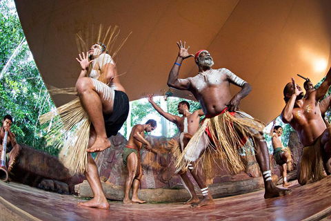 Best Of Kuranda Including Skyrail, Kuranda Scenic Railway And Rainforestation - C Tourism 1