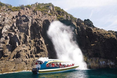 Full-Day Bruny Island Cruises Day Tour From Hobart - C Tourism 4