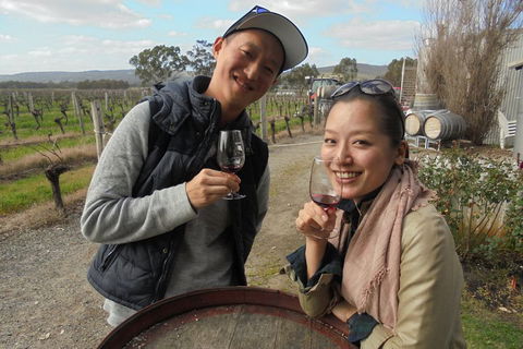 Swan Valley River Cruise And Wine Tasting Day Trip From Perth - C Tourism 0